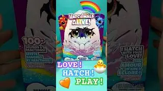 ХАТЧИМАЛЫ ЖИВЫЕ! 🧡ЛЮБОВЬ! ЛЮК! ИГРАЙТЕ! 🧡 ASMR #unboxing #unpacking #asmr #toys #hatchimals #cute #