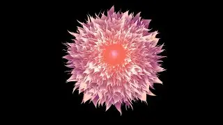 Beautiful Flower in Illustrator using blend tool