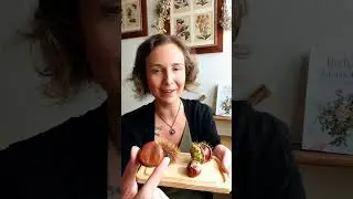 Diferencia entre la casta&ntilde;a y la casta&ntilde;a de indias