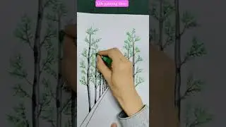 Draw road with green tree