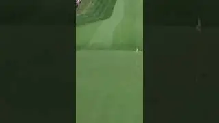 A Golf Shot That Demanded Precision AI #golf#golfshot