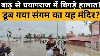बाढ़ में डूब गया प्रयागराज का यह मंदिर? flood in Prayagraj | Ganga flood | Hindi Khabar | Viralvideo