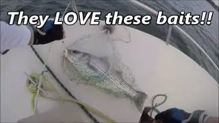 How to catch striped Bass with Bucktails