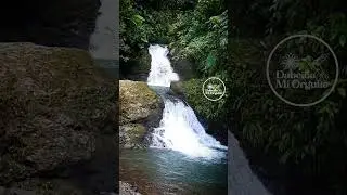 chibuga en Dabeiba