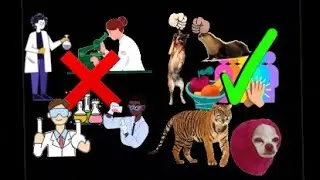 Modern Animal Research & Ancient Animal Research Explained By John Smooth