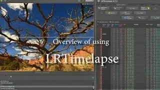 Workflow of Using LRTimelapse with Adobe Lightroom to Process Timelapse Videos and Remove Flicker