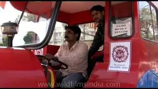 A close view of tourist buses of Gwalior - Gwalior Safari