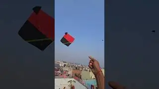 kite lovers kite flying #patang #kite