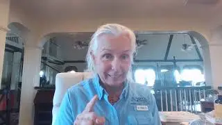 AVCA Practical Exam Review Dr  Amy Hayek 2023