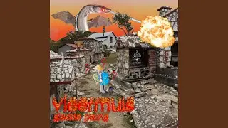 vleermuis