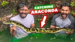 അനക്കൊണ്ടയെ കിണറ്റിൽ ചാടിപ്പിടിച്ചു 😱 Catching Snake 🐍