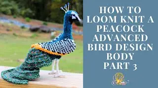 How to Loom Knit a Peacock/ Designing Part 3