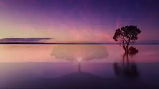PhylaNthropy (HD) - Marco Marconi (piano solo)
