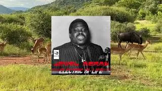 Jewel Ackah - Wulemo (Official Audio)