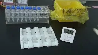 Liquid-based cytology manual operation (OG6, EA50 staining)