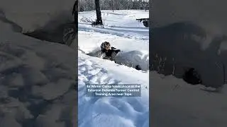 Nato battlegroup's frozen battlefield drills💥
