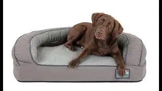 Better World Pets Supreme Comfort Memory Foam Dog Bed
