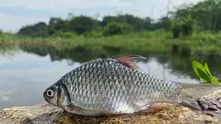 SPOT MANCING SYAHDU DAN BANTUL YOGYAKARTA MANCING LIAR BEKAS TAMBANG PASIR