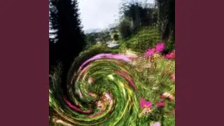 Project pink