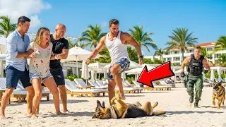 Rich Heir Attacked a Beach Vendor and Kicked Her Dog &mdash; Until a Navy SEAL Stepped In