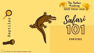 Safari 101 for kids | Reptiles | Educational video for kids about nature and wildlife