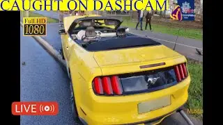 Latest North America Bad Drivers | Cars Driving Fails Compilation - 008 [Caught On Dash Cam]