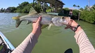 Sanibel produces MONSTER fish!!! Fishing with artificial lures along docks + mangroves