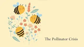 The Pollinator Crisis