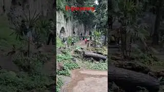 gua jenpang, #tahura #dago #bandung #jelajahkotabandung #wisata #travel