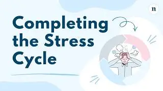 Stressor vs Stress: The Stress Cycles Explained a Neurodivergent Perspective