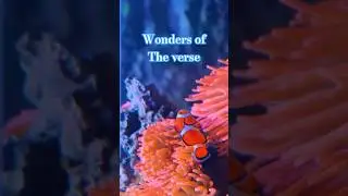 What's Really Inside Earth..And Beyond It #shorts #viral 🪐