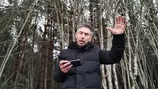 P4 - Международное мошенничество - Моё заявление об аресте - К сожалению, дата ареста - 26/12.