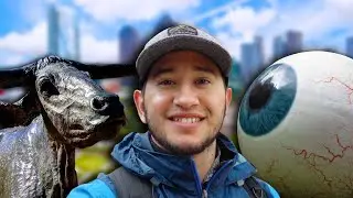 TOP 5 places to visit in DOWNTOWN DALLAS | Things to Do Dallas Texas
