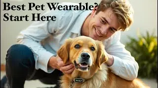 The Perfect Pet Wearable: What Every Loving Pet Parent Must Know 🐾✨