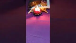 LIBRA ♎ CRYSTAL ANGLE ORACLE MESSAGE 💫