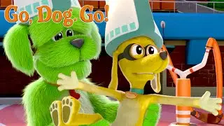 Frank & Beans Doggy Stunt Show | GO, DOG. GO! | Netflix