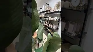 CUTE HOME DECORS. #shortsvideo #homedecor #homeneeds
