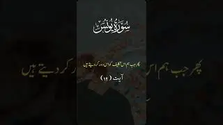 Translation of Quran in Urdu #tarjuma #quranicwisdom