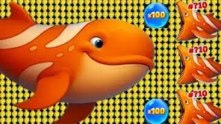 &lrm;Fishdom🐠 Ads Mini Games New 5.58 Update video Hungry Fishs🐟 Gameplay 2025 Hyder Gaming yt&lrm;