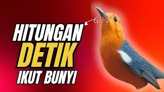 LANGSUNG NYAUT 10000 % ‼️ ANIS MERAH MACET BUNYI JIKA DENGAR SUARA INI PASTI NYAUT LANJUT GACOR | 66