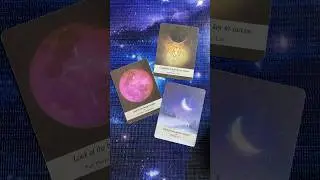 Their Next Action #mysticworld1111 #tarot #theirnextaction #theirnextmove