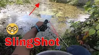 SHOOT AT FIRST SIGHT  #slingshot | Speed Fishing with Slingshot | Fishing Video !!!