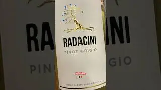 Crisp & Elegant: Pinot Grigio from Moldova | #VinoVistara #Wine