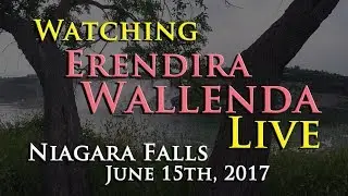 Erendira Wallenda - Daredevil - Niagara Falls June 15, 2017 - Episode 211