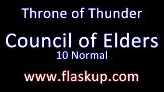 Raiding Guide: Council of Elders // 10 Man Normal Mode
