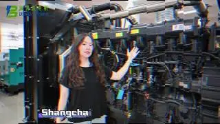 Unmatched Reliability: The DINGBO Power Shangchai Generator for Your Emergency Backup Needs