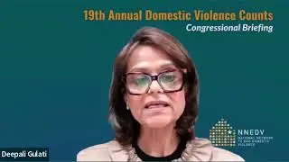 NNEDV's 19th Annual Domestic Violence Counts Congressional Briefing - Deepali Gulati