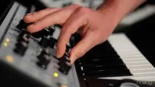 Sub Phatty | MULTIDRIVE