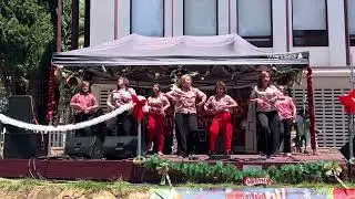 Livin’ La Vida Loca, performed by Philippine-Australian Association Ladies, choreographed by Rose D