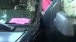 Psycho Sister vs. van